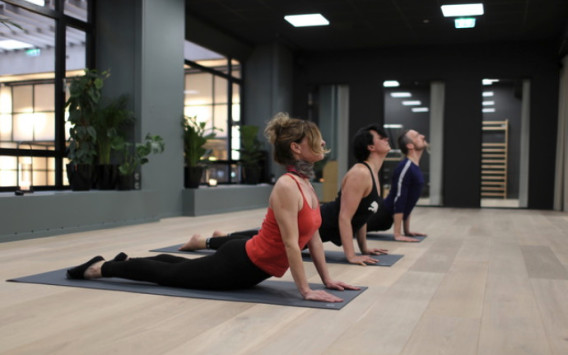 Kjernekraft Yoga & Pilates